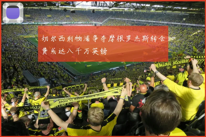 切尔西利物浦争夺摩根罗杰斯转会费或达八千万英镑
